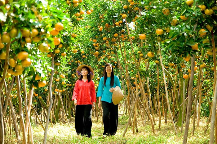 Visit orchards and gardens of Tan Phong islet