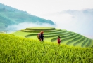 Terraced rice fields in Mù Cang Chải