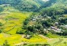 Rice fields in Ha Giang