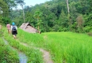 Mae Sapok trekking