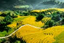 922-sapa-vietnam-3