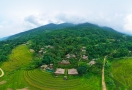 Terraced rice fields in Pu Luong