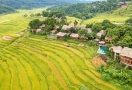 Terraced rice fields in Pu Luong