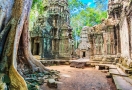 Ta Prohm Temple - Siem Reap - Cambodia