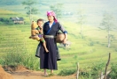 Hmong Ethnic in Sapa