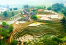 Terraced rice fields in Sapa