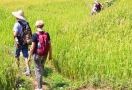 Trekking in Mai Chau