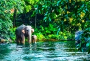 Khao Yai National Park (Thailand)