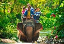 Elephant Camp in Thailand