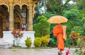 What To Do During The Rain In Laos: Top Activities For A Rainy Day