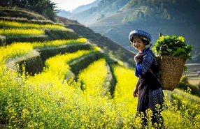 What To Do At Sapa ? Sapa 5 Days 4 Nights Itinerary - Your Travel Guide