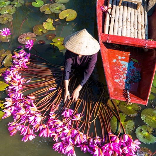 Ninh Binh boat tour (Tam Coc or Thung Nham) Full Day Trip