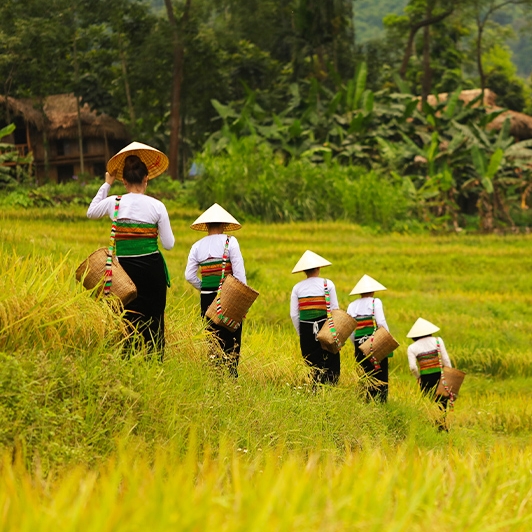 Amazing Mai Chau and Pu Luong Tour 3 Days 2 Nights
