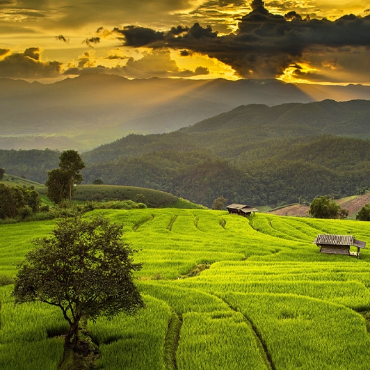 Chiang Mai & Lahu village trekking 2 Days 1 Night