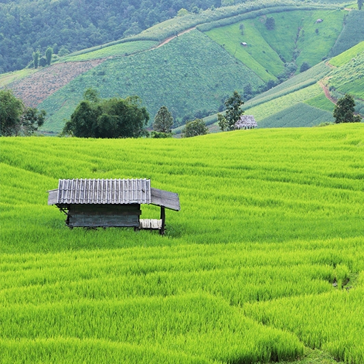 Travel to Chiang Mai Itinerary Trip 5 Days 4 Nights