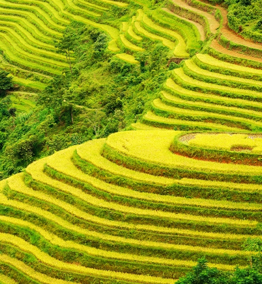 Hoang Su Phi Ha Giang amazing tours by Bus 6 Days 5 Nights