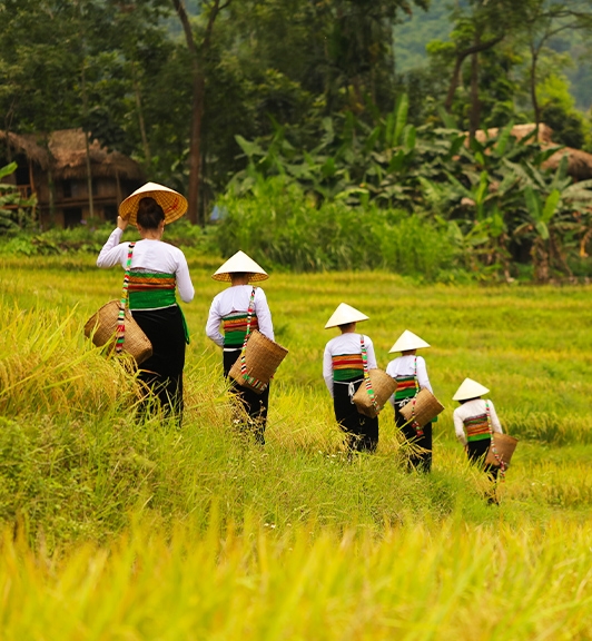Amazing Mai Chau and Pu Luong Tour 3 Days 2 Nights