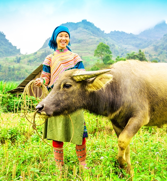 Upper Tonkin - The Hidden Beauty of Authentic Vietnam 10 Days 9 Nights