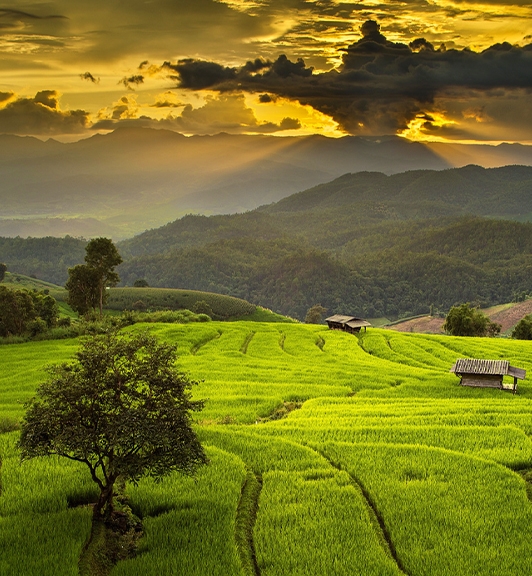 Chiang Mai & Lahu village trekking 2 Days 1 Night