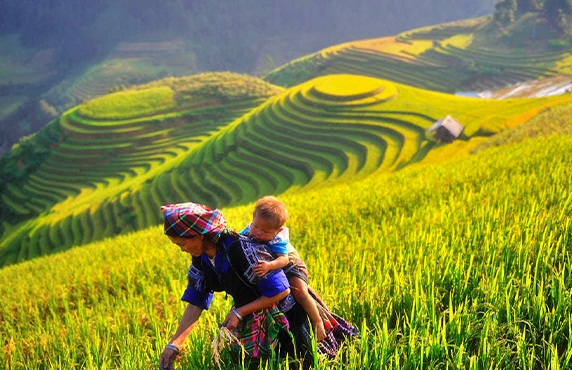 Frequently Asked Questions For Traveling To Vietnam Frequently Asked Questions For Traveling To Vietnam