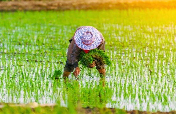 2-Day Agricultural Tour In Cambodia - Review By Liana