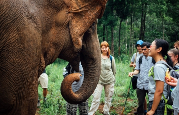 One Day In Mondulkiri – Travel Itinerary With Advice By Mr. Alec One Day In Mondulkiri – Travel Itinerary With Advice By Mr. Alec