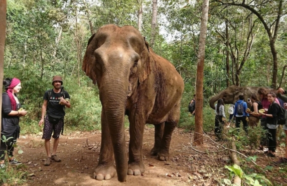 What To Do In Mondulkiri For 2 Days? Itinerary Review By Mr. Antoine What To Do In Mondulkiri For 2 Days? Itinerary Review By Mr. Antoine