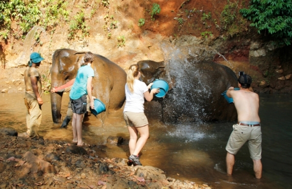 When To Visit Mondulkiri? Best Time To Visit Mondulkiri Cambodia When To Visit Mondulkiri? Best Time To Visit Mondulkiri Cambodia