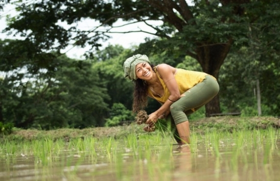 3-day Agricultural Tour To Thailand With Point Of View Of Vivien
