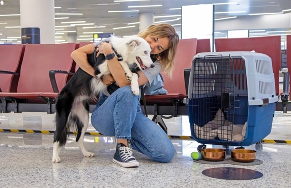 Thailand Pet Travel Rules - Thailand Travel Guide For Pet Owners