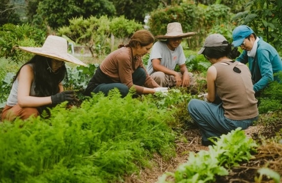Discover Eco-farm In Thailand - Authentic Rural Experience