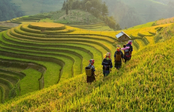 How Much Does A Vietnam 3 Weeks Trip Cost? How Much Does A Vietnam 3 Weeks Trip Cost?