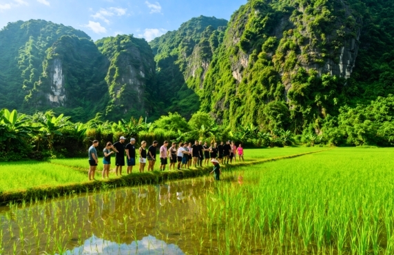 What To Do In Vietnam ? A 2-Week Agricultural And Cultural Itinerary