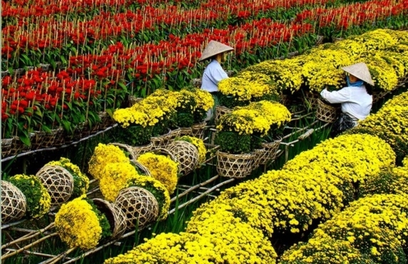 Itinerary 6 Days Ben Tre Sa Dec Chau Doc - Review By Sarah