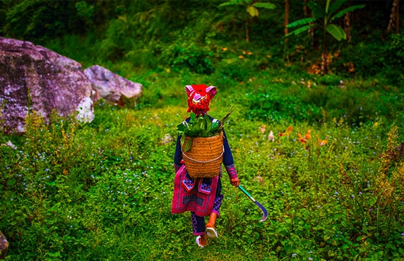 Red Dao Herbal Baths In Sapa, Vietnam - The Cultural Treasures Red Dao Herbal Baths In Sapa, Vietnam - The Cultural Treasures