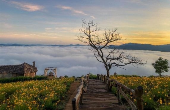Mr. Albert's Recommendation For 4 Day-trip In Da Lat Nha Trang Mr. Albert's Recommendation For 4 Day-trip In Da Lat Nha Trang