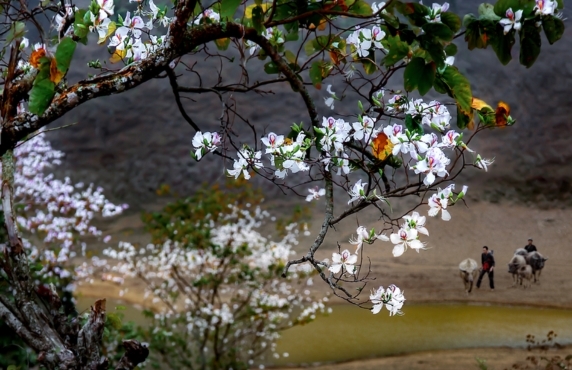 Things To Do In Dien Bien When It Rains