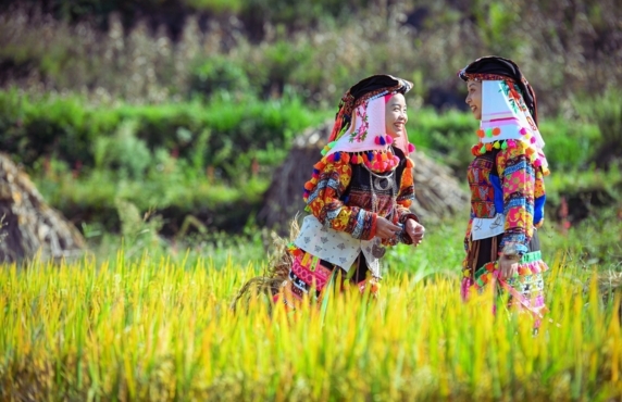 Ha Giang Complete Travel Guide – What To Know Before Visiting Vietnam Ha Giang Complete Travel Guide – What To Know Before Visiting Vietnam