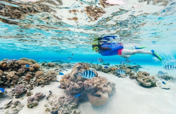How Much Does Snorkeling Cost In Northern Vietnam ?