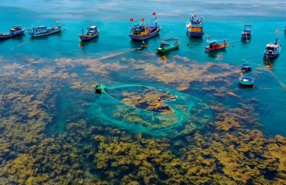 3 Days In Quy Nhon Vietnam - Review Of Mr Dembski