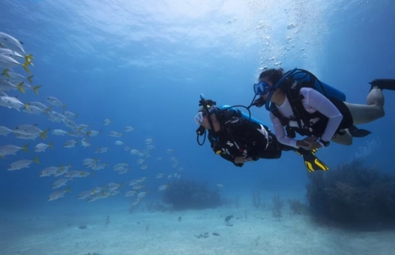 Snorkeling In Central Vietnam - Costs And Practical Tips