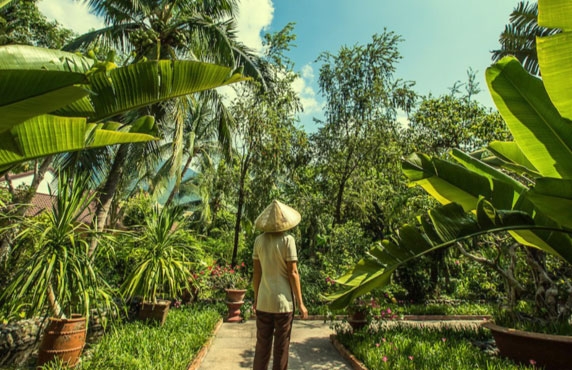 Which Month Is Best For A Vietnam Tour? Which Month Is Best For A Vietnam Tour?