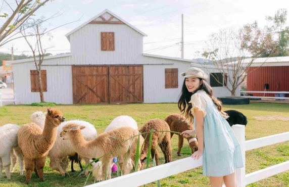 Weekend At A Farm In Vietnam - Farming Tours In Vietnam