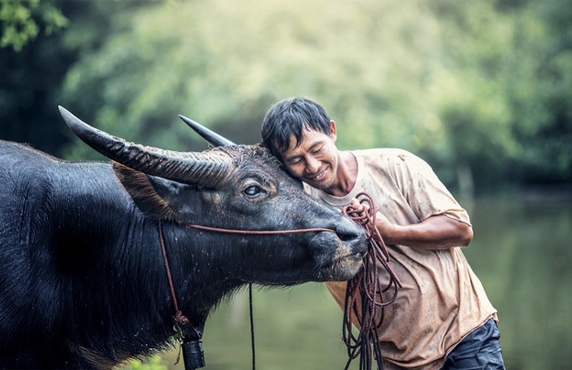 Kinh People: Useful Information To Discover The Culture Of Vietnam Kinh People: Useful Information To Discover The Culture Of Vietnam