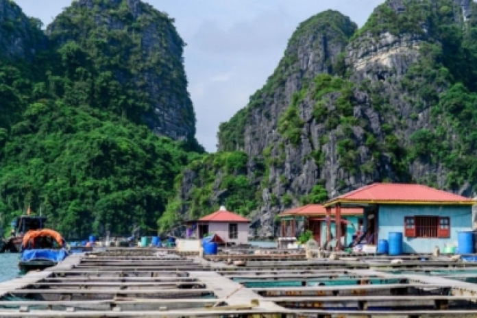 Vung Vieng Fishing Village – Ha Long International Port (B, L)