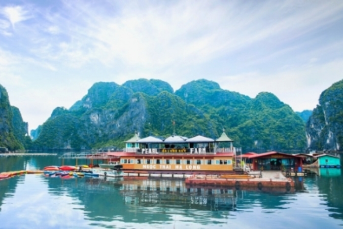 Halong Bay - Pearl Farm Visiting - Kayaking - Hanoi (B,L)