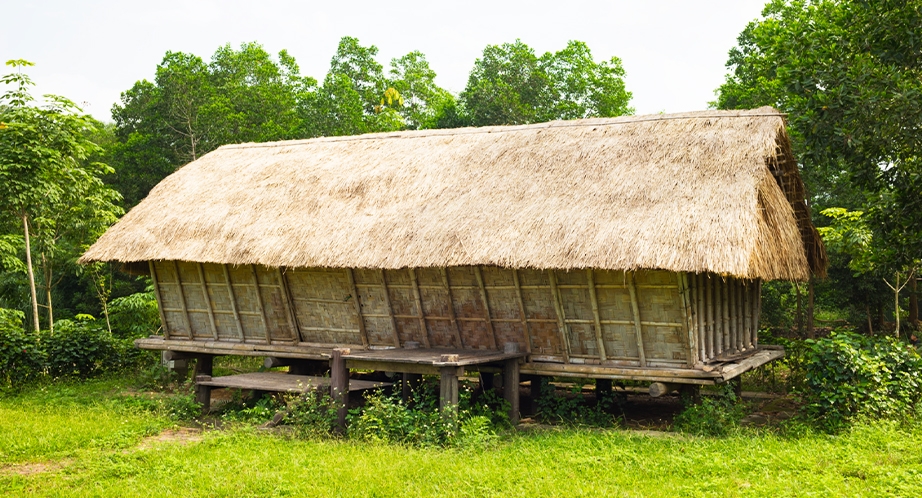 922-11-hauts-plateaux-vietnam