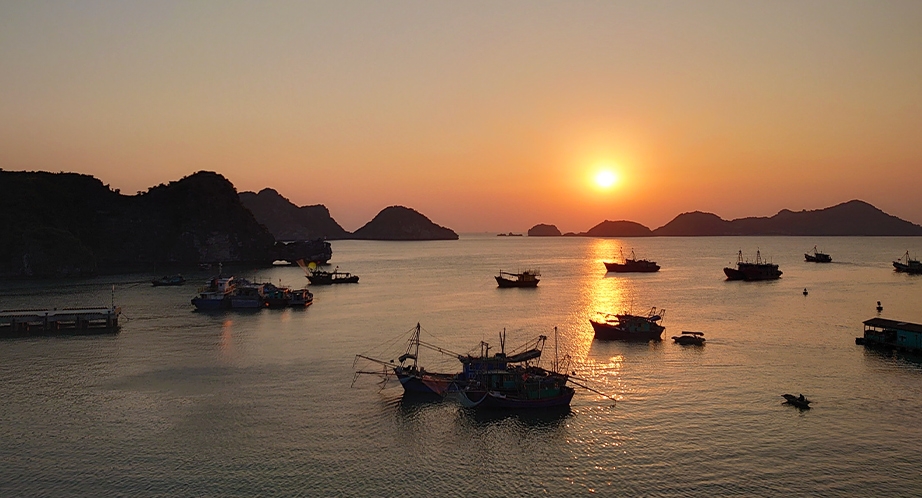 Cruise in Lan Ha Bay