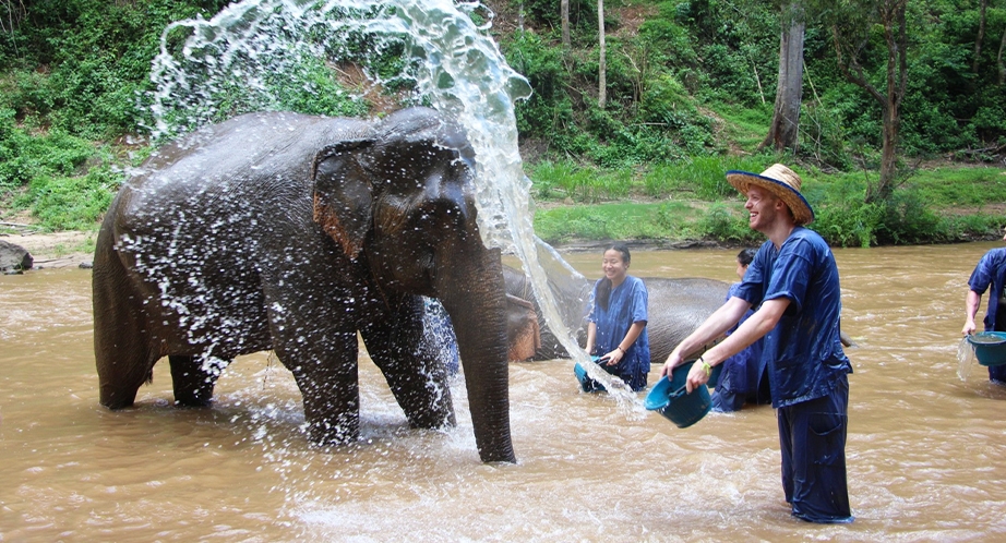 Elephant camp in Chiang Mai