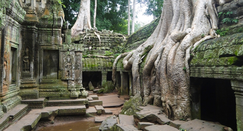 922-Ta-Prohm-4